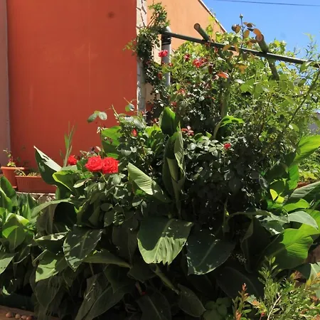 With Parking Space Cunski, Losinj - 8010 *